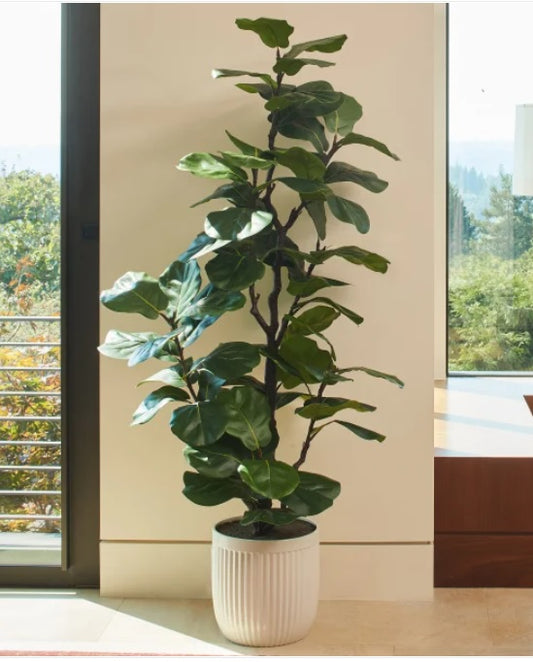 Faux 1.9 m (6.5 ft.) Slim Fig Tree - PuriLite