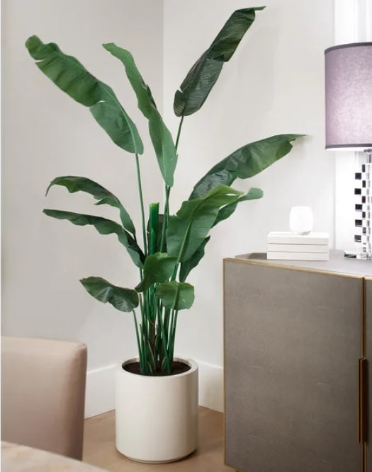 Faux Banana Leaf Tree 2 m (6.5 ft.) - PuriLite