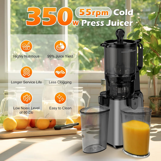 Juicer Machines with 5.8" Extra Large Feed Chute, Cold Press Juicer For Whole Vegetables and Fruits, 350W Professional Masticating juicer Easy to Clean for Batch Juicing (Titanium Gray) - PuriLite
