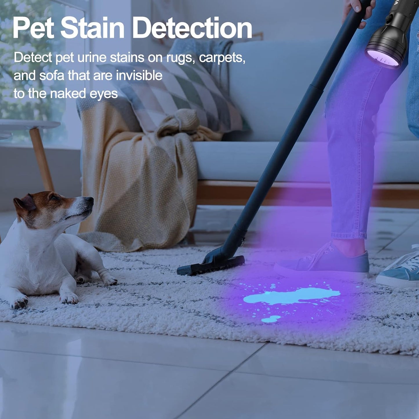 UV Flashlight Black Light UV Lights, Vansky 51 LED Ultraviolet Blacklight Pet Urine Detector for Dog Cat Urine,Dry Stains,Bed Bug, Matching with Pet Odor Eliminator