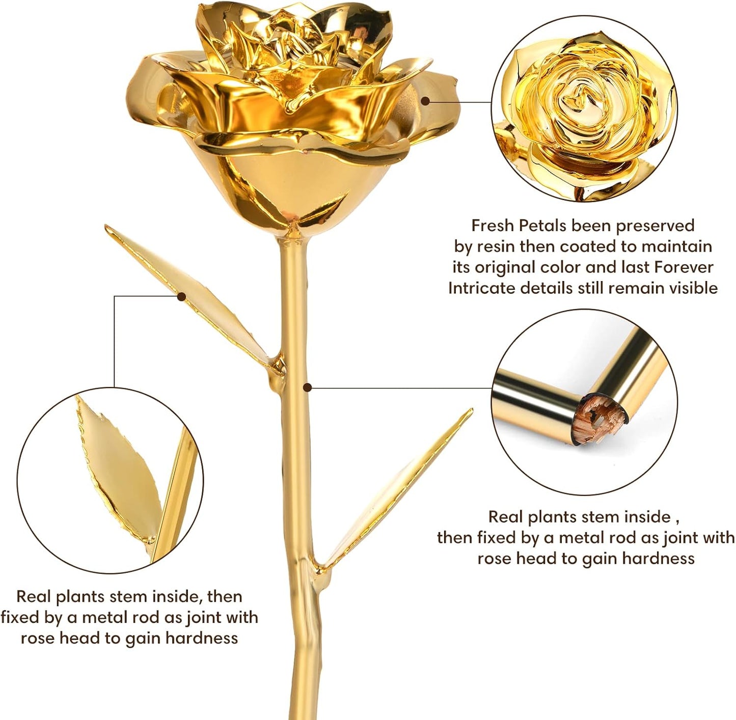 Real 24K Gold Dipped Rose, Handmade Preserved Rose Gift in Elegant Box, Long-Lasting Luxury Flower Decor for Birthday Anniversary and Special Occasions - PuriLite