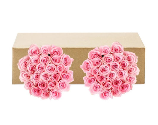 Roses, 48 Stems - Pink - PuriLite