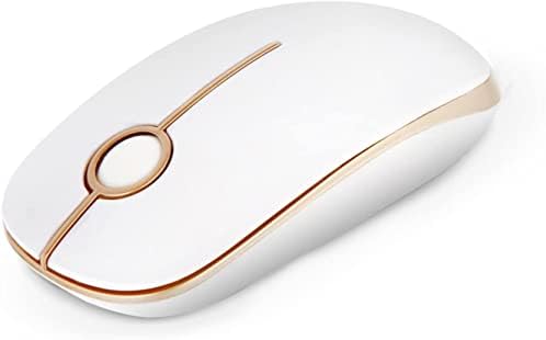Wireless Mouse, Vssoplor 2.4G Slim Portable Computer Mice with Nano Receiver for Notebook, PC, Laptop, Computer (White and Silver)