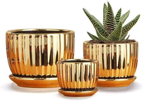 Purilite Select 3-Piece Ceramic Indoor Planter Set