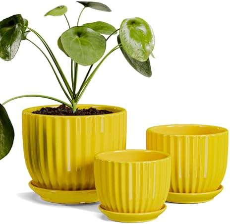 Purilite Select 3-Piece Ceramic Indoor Planter Set