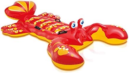 Intex Inflatable Pool and Lake Floats – Inflatable Rafts, Loungers & Ride-Ons