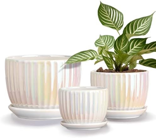 Purilite Select 3-Piece Ceramic Indoor Planter Set