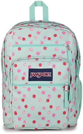 JanSport Laptop Backpack - Computer Bag with 2 Compartments, Ergonomic Shoulder Straps, 38.1 cm Laptop Sleeve, Haul Handle