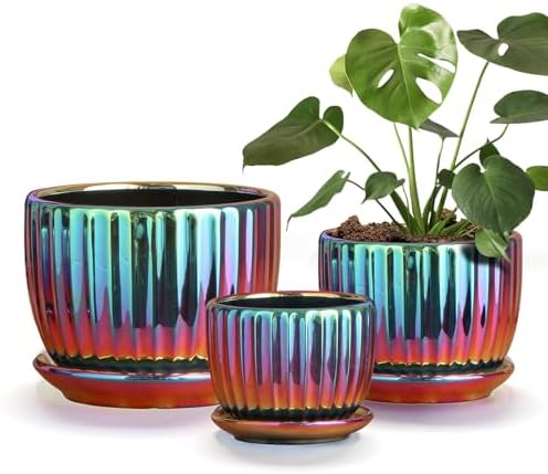 Purilite Select 3-Piece Ceramic Indoor Planter Set
