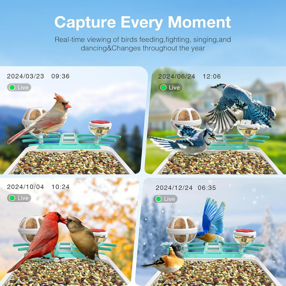 isYoung Smart Bird Feeder with Camera – AI Identifies 16,000+ Bird Species, 2K HD, Solar Powered, Motion Detection, Wide-Angle View - PuriLite