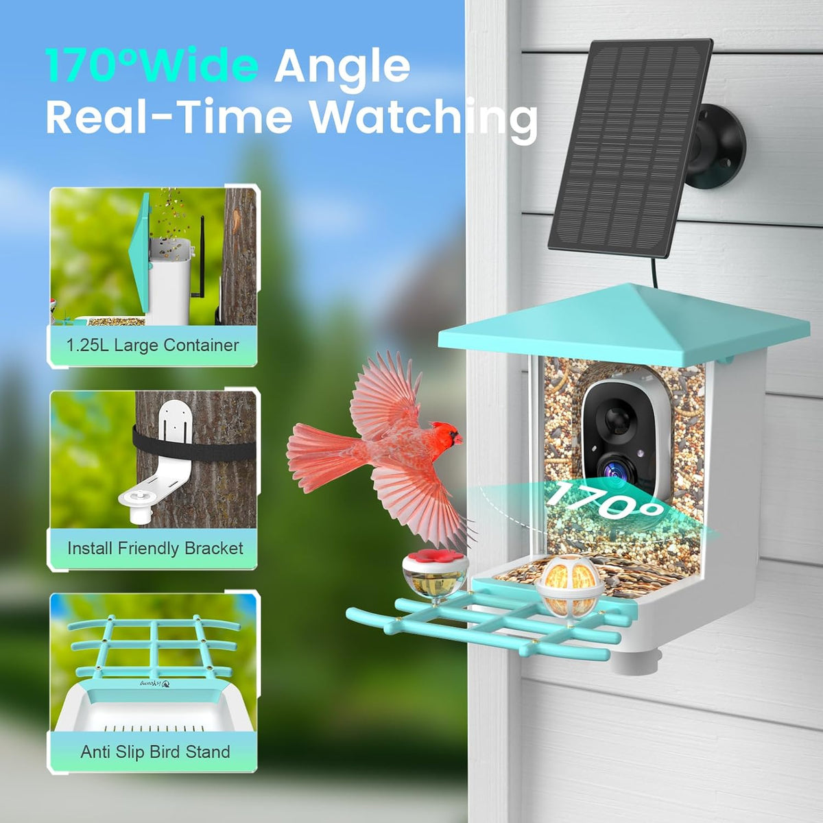isYoung Smart Bird Feeder with Camera – AI Identifies 16,000+ Bird Species, 2K HD, Solar Powered, Motion Detection, Wide-Angle View - PuriLite