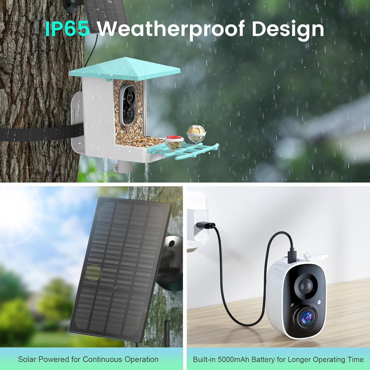 isYoung Smart Bird Feeder with Camera – AI Identifies 16,000+ Bird Species, 2K HD, Solar Powered, Motion Detection, Wide-Angle View - PuriLite