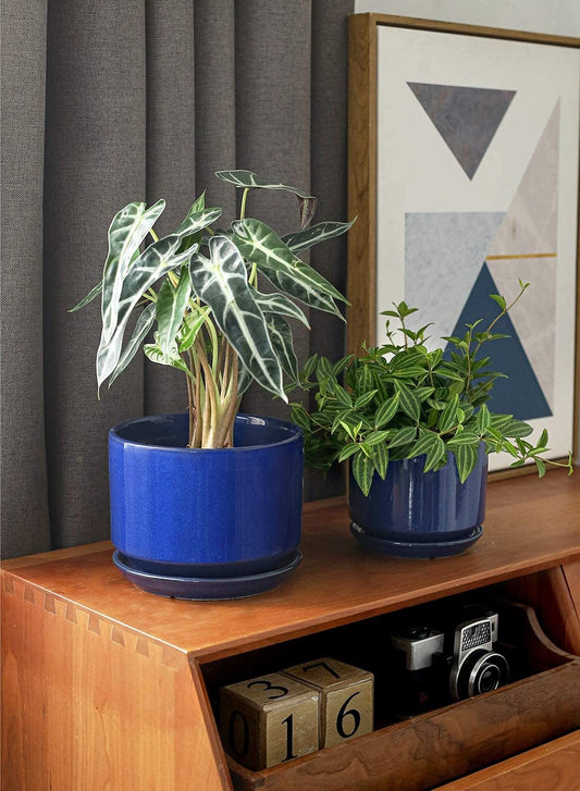 LE TAUCI Ceramic Plant Pots, 4.3+5.3+6.8 inch Plant Pots Indoor, Planters Pots with Drainage Hole & Saucer, Indoor Flower Pot with Mesh Pad, Pot Plante Interieur, Set of 3, Sapphire Blue - PuriLite