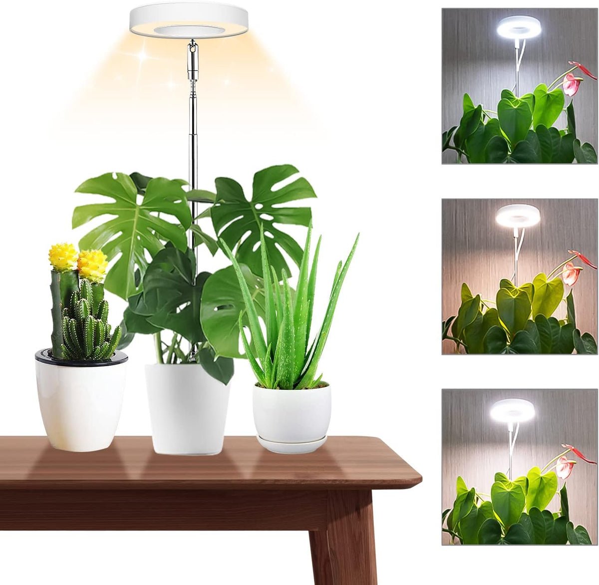 48-LED Full Spectrum Plant Grow Light | Adjustable Height | Auto Timer | 3 Light Modes | 10 Brightness Levels - PuriLite