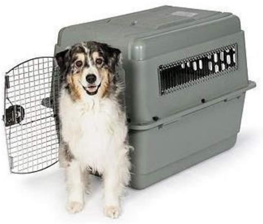 Petmate 00200 Sky Kennel for Pets from 25 to 30-Pound, Light Gray