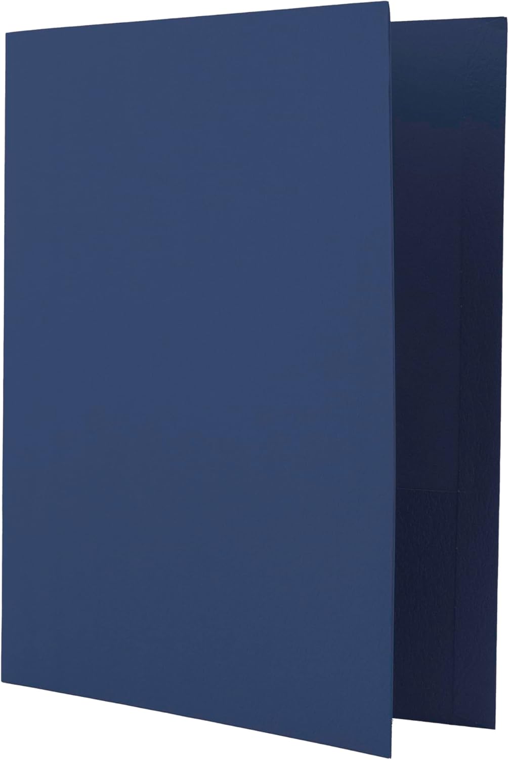 Hilroy Twin Pocket Portfolios, 9.5" x 11.75", 4-Pack, Assorted Colours (06042)