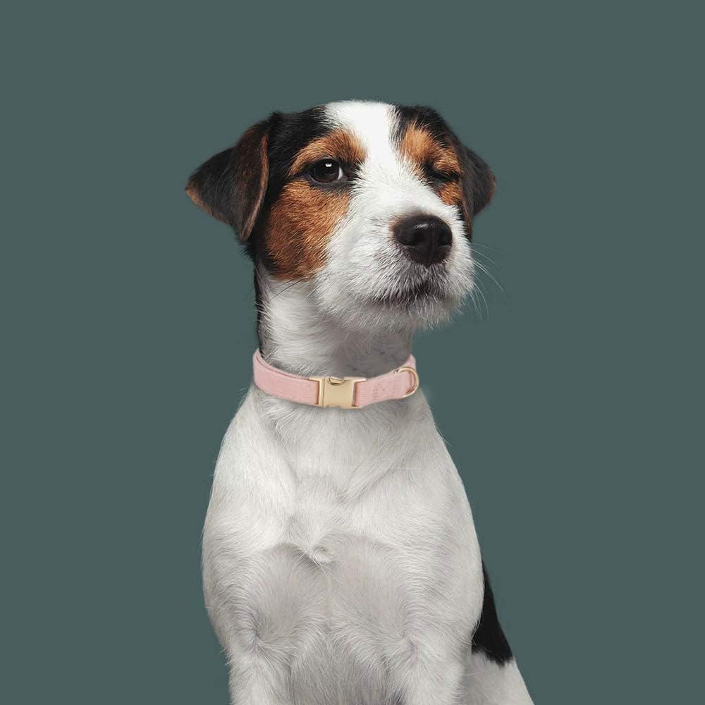 YUDOTE Soft Cotton Dog Collar with Metal Buckle Adjustable Heavy Duty Comfy Corduroy Collars for Small Medium Large Dogs,Black,Small