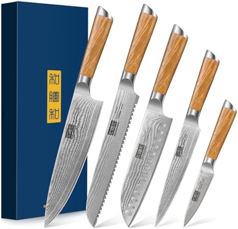 HOSHANHO Damascus Fillet Knife 7 Inch, Professional VG-10 Super Steel Boning Knife, Ultra Sharp Fish Knife with Ergonomic Handle