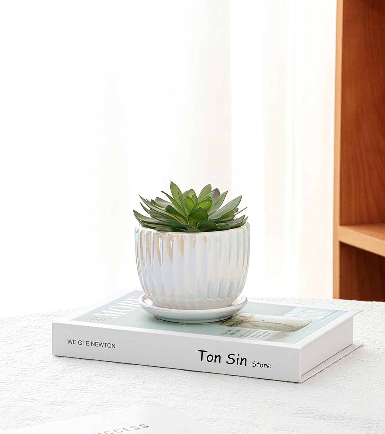 Purilite Select 3-Piece Ceramic Indoor Planter Set