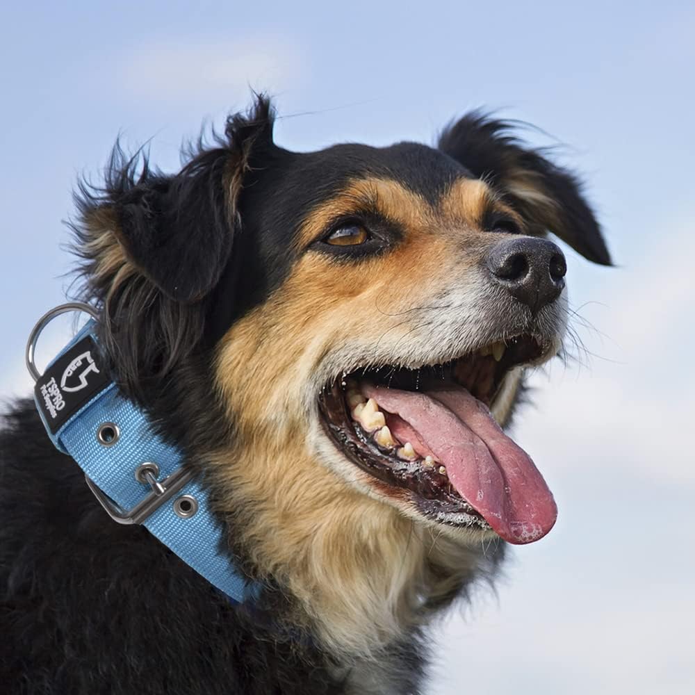 TSPRO Tactical Dog Collar 1.5 inch Wide Dog Collar Military Grade Strong Dog Collar Thick Dog Collar Heavy Duty Metal Buckle Dog Collar(Green-L)