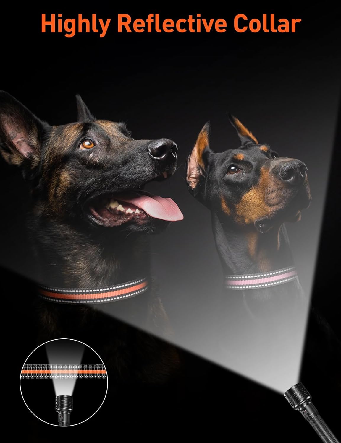 DOGLinsen 2-in-1 Bark and Shock Collar for Dogs, Smart Anti Barking Dog Training Collar with 5 Adjustable Sensitivity, Automatic Bark Collar with Remote, Vibration, Beep, Shock and Automatic