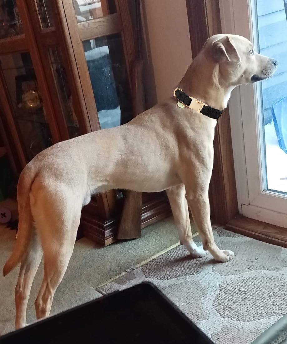 YUDOTE Soft Cotton Dog Collar with Metal Buckle Adjustable Heavy Duty Comfy Corduroy Collars for Small Medium Large Dogs,Black,Small