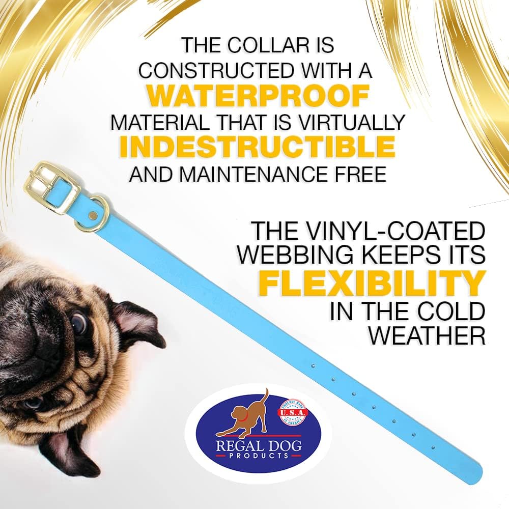 Regal Dog Products Medium Black Waterproof Dog Collar with Gold Buckle, Resilient and Durable Materials, Comfortable Design - for Small, Medium, and Large Breed Dogs