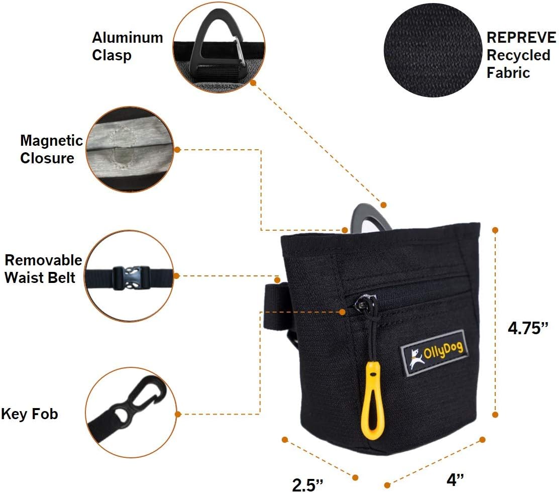 OllyDog Goodie Treat Bag, Dog Treat Pouch, Waist Belt Clip for Hands-Free Training, Magnetic Closure, Dog Training and Behavior Aids, Three Ways to Wear (Palm)