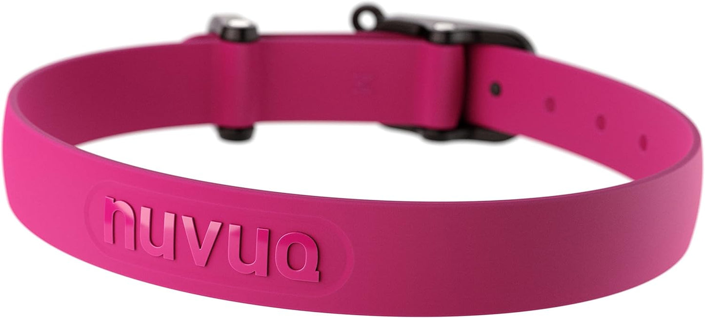Waterproof Dog Collar - Durable, Comfortable and Adjustable Silicone Dog Collar with Wear Resistant Buckle and ID Tag Ring for Small Dogs by Nuvuq (Black, Small)