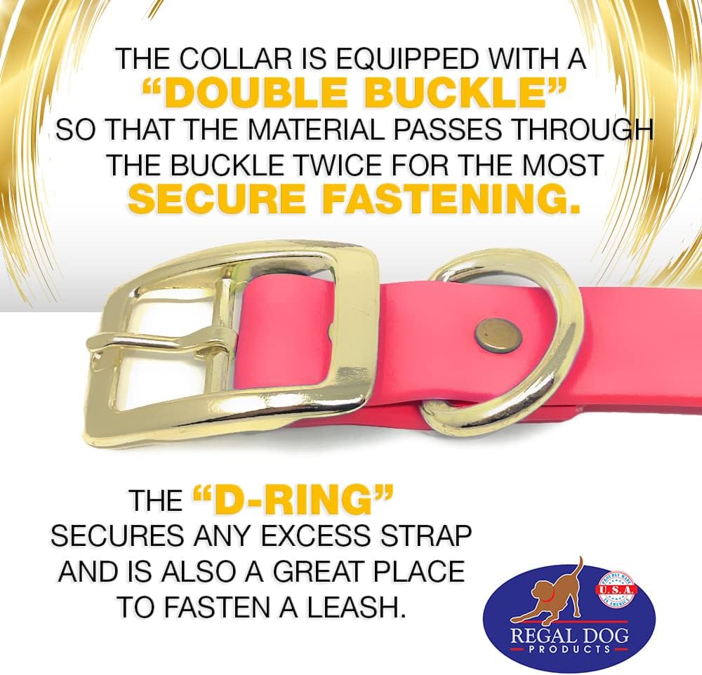 Regal Dog Products Medium Black Waterproof Dog Collar with Gold Buckle, Resilient and Durable Materials, Comfortable Design - for Small, Medium, and Large Breed Dogs