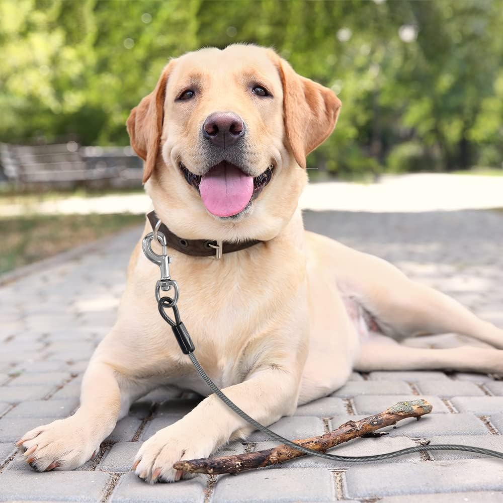 BV Pet Small Tie Out Cable for Dog up to 35 Pound, 25-Feet