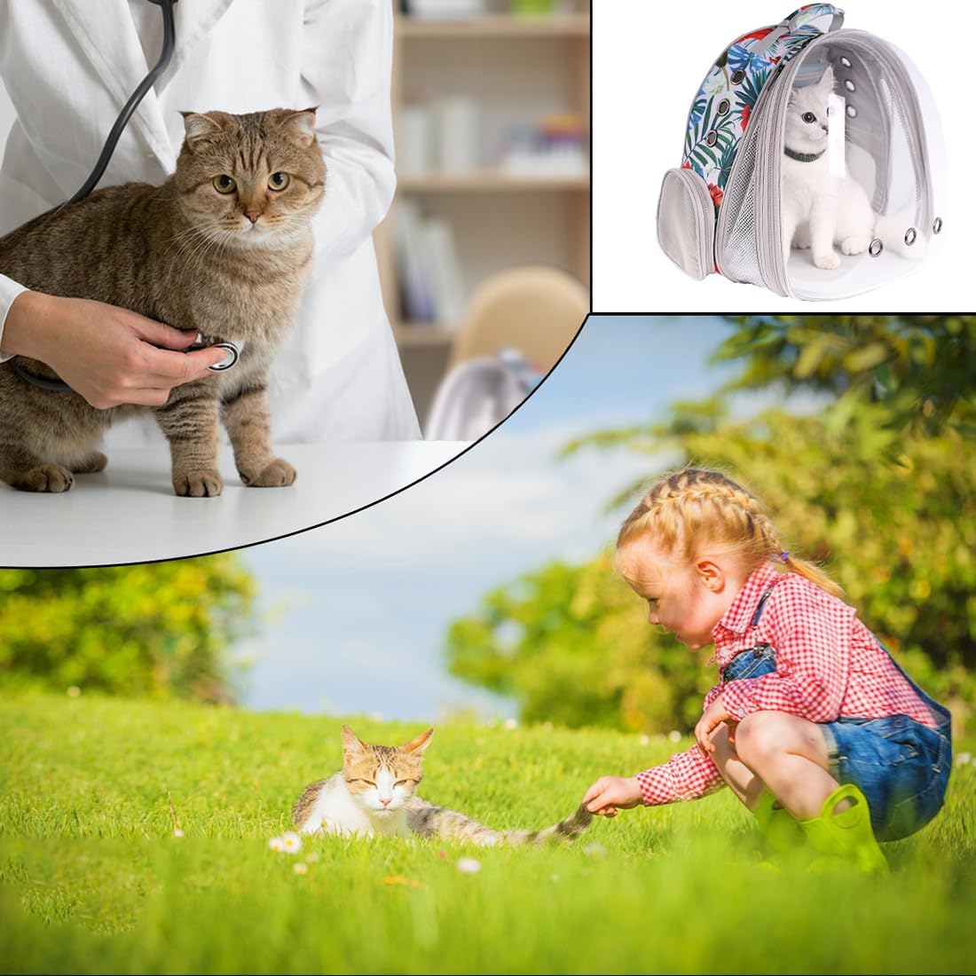 WEVONIGU Front Expandable Cat Backpack Carrier,Fit up to 16 lbs,Pet Carrier Backpack,Space Capsule Astronaut Bubble Window Bag,Cats and Puppies,Airline-Approved,Designed for Travel,Hiking,Walking
