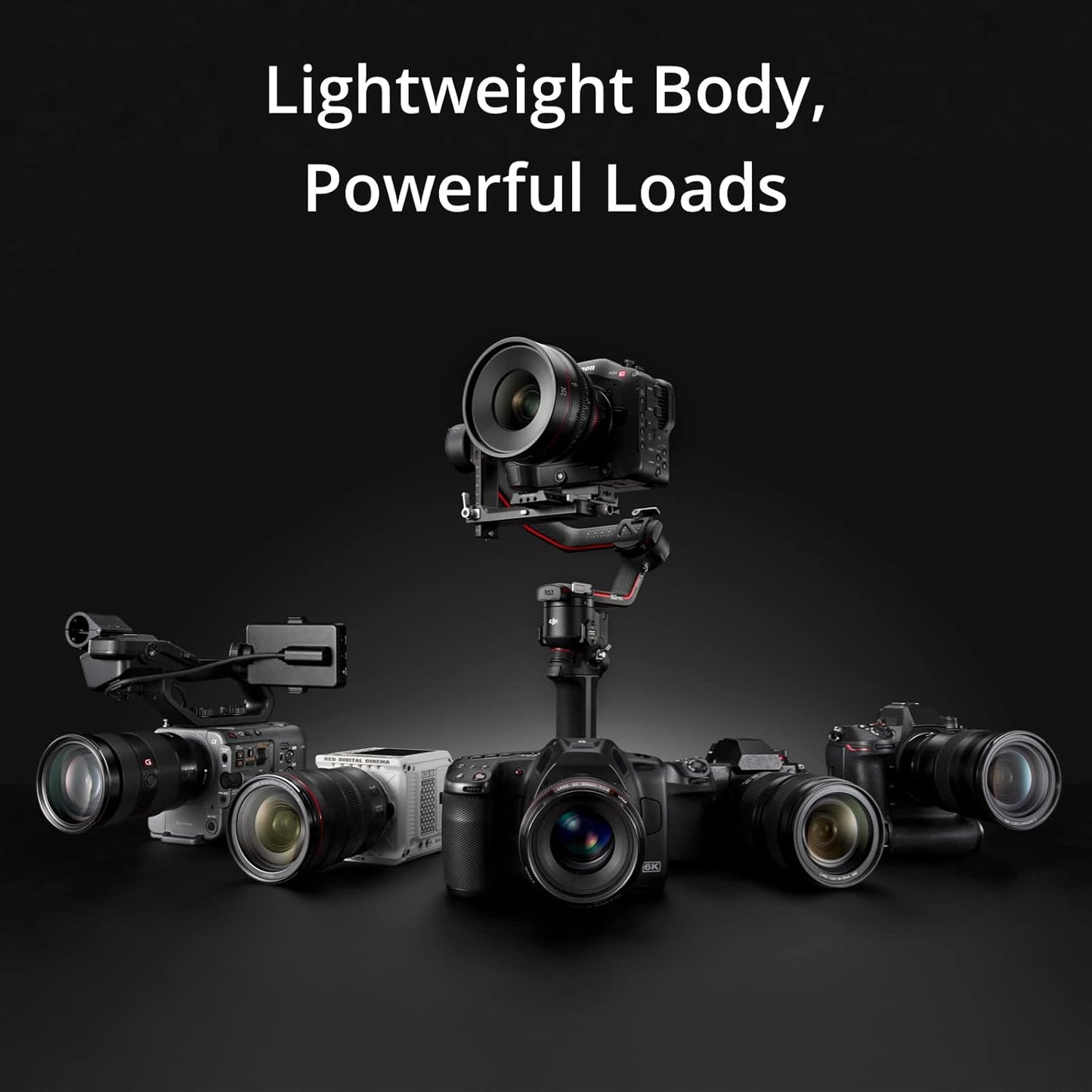 DJI RS 3 Mini, 3-Axis Gimbal Stabilizer for Cameras Canon/Sony/Panasonic/Nikon/Fujifilm, 2 kg (4.4 lbs) Tested Payload, Camera Stabilizer, Camera Gimbal with Native Vertical Shooting