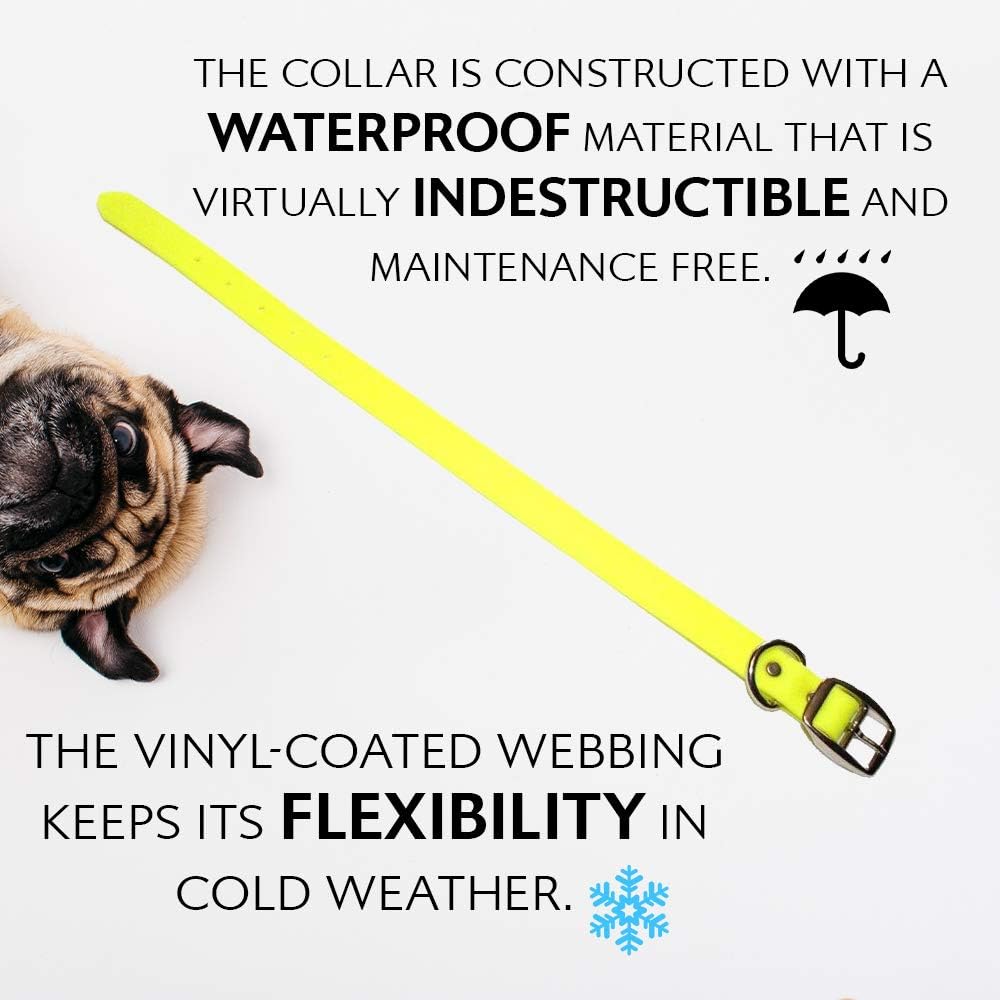 Regal Dog Products Medium Yellow Waterproof Dog Collar with Heavy Duty Double Buckle & D Ring | Vinyl Coated, Custom Fit, Adjustable Biothane Dog Collar | Chew Resistant Waterproof Collar for Dogs