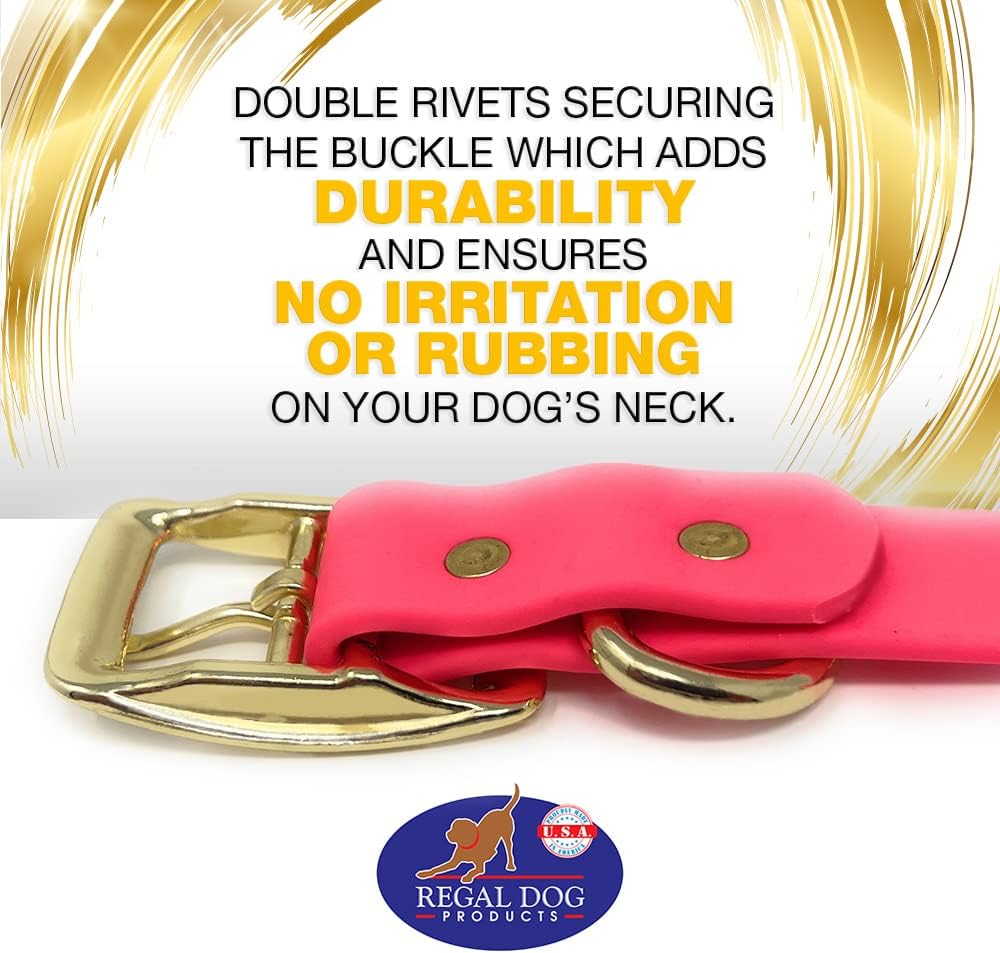 Regal Dog Products Medium Black Waterproof Dog Collar with Gold Buckle, Resilient and Durable Materials, Comfortable Design - for Small, Medium, and Large Breed Dogs