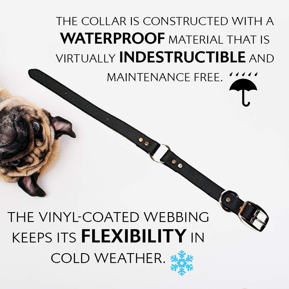 Regal Dog Products Medium Orange Dog Collar with Heavy Duty Double Buckle & D Ring | Vinyl Coated, Custom Fit, Adjustable Biothane Dog Collar Chew Resistant Waterproof Center-Ring Collar for Dogs