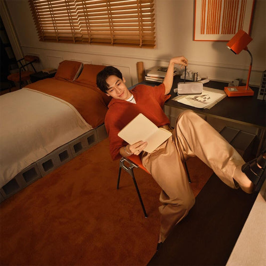 Bose SoundLink Home Speaker, Premium, Portable and Wireless Bluetooth Bookshelf Speaker, Up to 9 Hours Battery Life, Light Silver