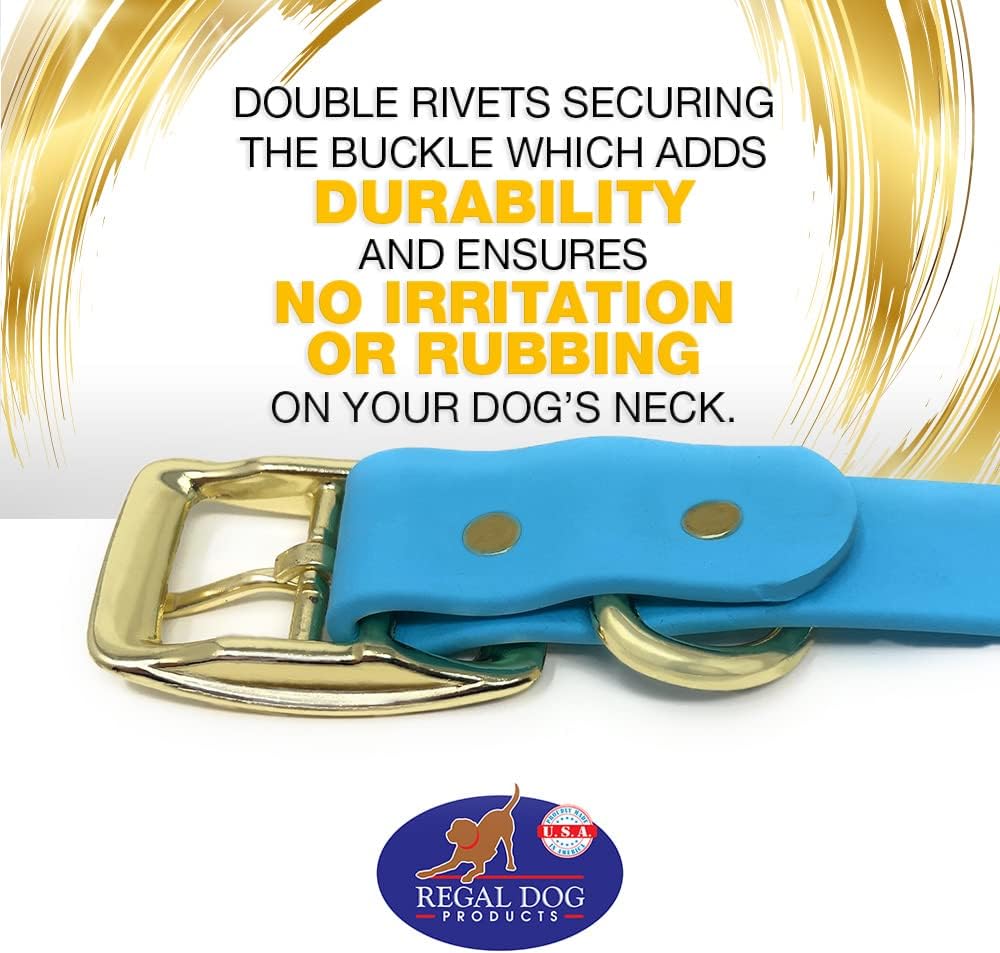 Regal Dog Products Medium Black Waterproof Dog Collar with Gold Buckle, Resilient and Durable Materials, Comfortable Design - for Small, Medium, and Large Breed Dogs