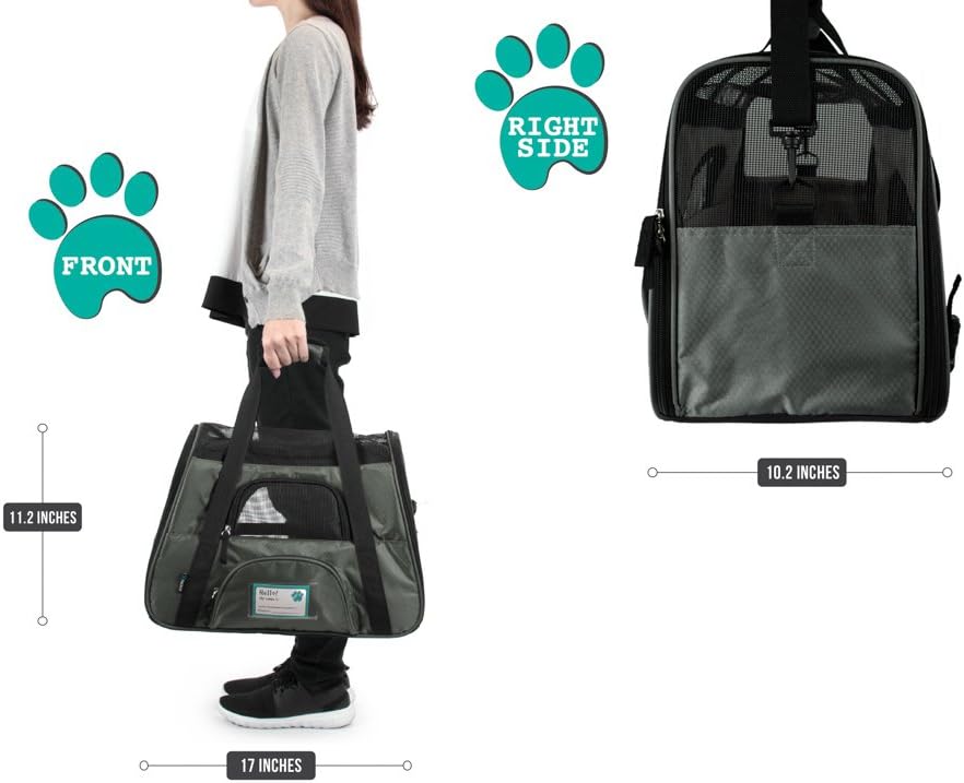 Premium Airline Approved Soft-Sided Pet Travel Carrier by PetAmi | Ventilated, Comfortable Design with Safety Features | Perfect For Plane or Car | Ideal for Small to Medium Sized Cats, Dogs, and Pets