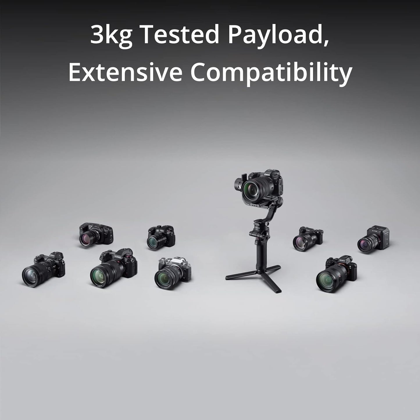 DJI RS 3 Mini, 3-Axis Gimbal Stabilizer for Cameras Canon/Sony/Panasonic/Nikon/Fujifilm, 2 kg (4.4 lbs) Tested Payload, Camera Stabilizer, Camera Gimbal with Native Vertical Shooting