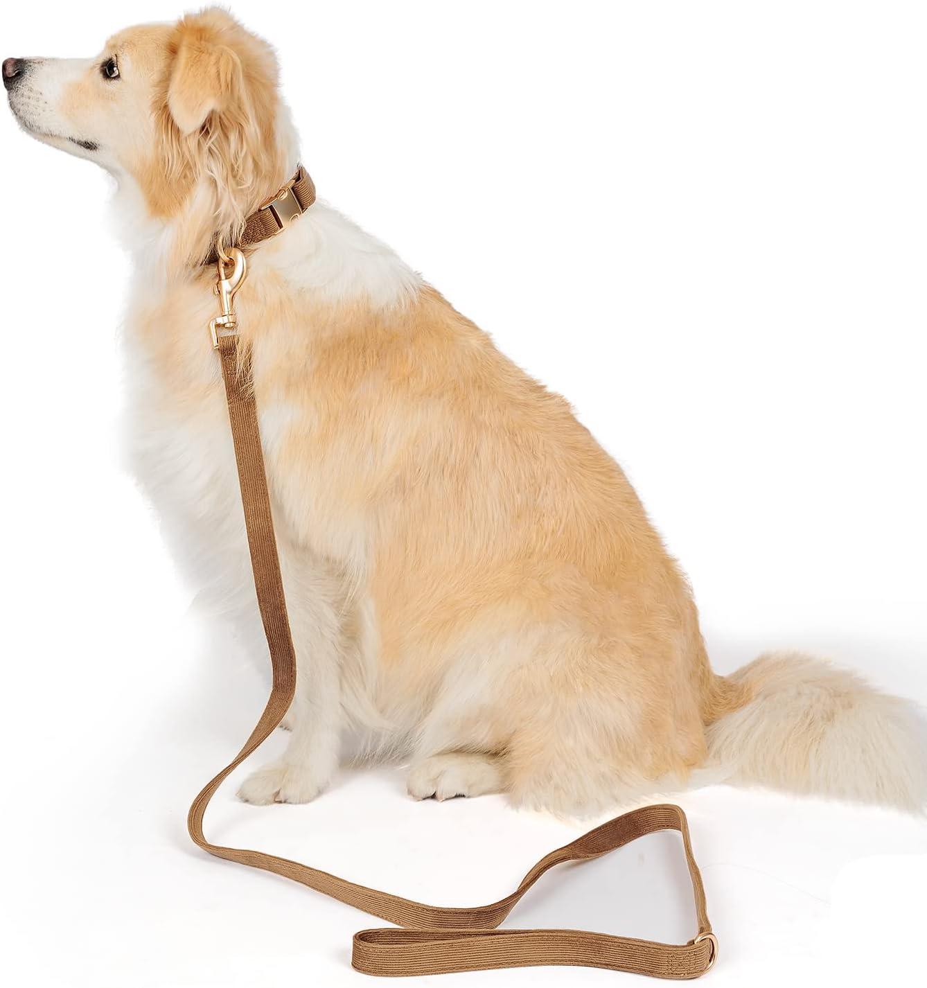 YUDOTE Soft Cotton Dog Collar with Metal Buckle Adjustable Heavy Duty Comfy Corduroy Collars for Small Medium Large Dogs,Black,Small