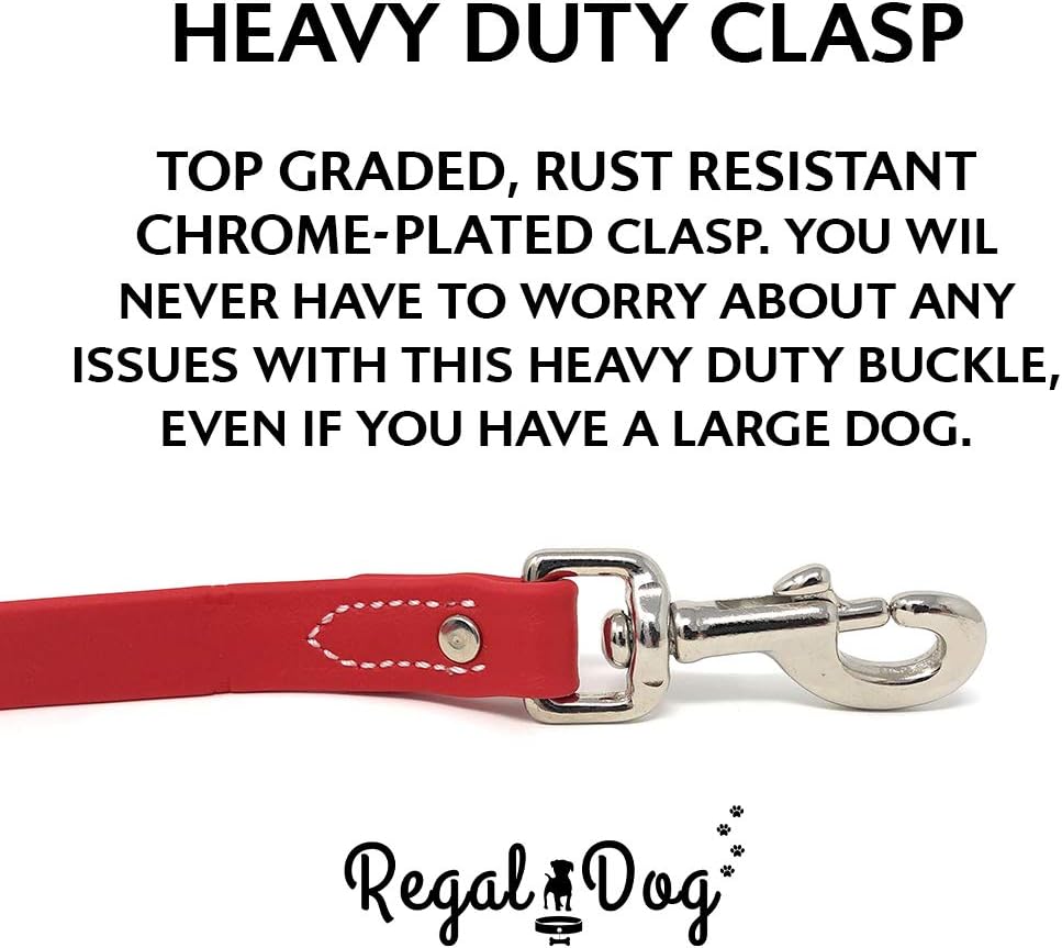 Regal Dog Products Medium Orange Dog Collar with Heavy Duty Double Buckle & D Ring | Vinyl Coated, Custom Fit, Adjustable Biothane Dog Collar Chew Resistant Waterproof Center-Ring Collar for Dogs