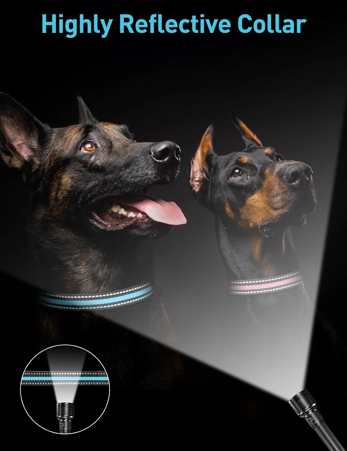 DOGLinsen 2-in-1 Bark and Shock Collar for Dogs, Smart Anti Barking Dog Training Collar with 5 Adjustable Sensitivity, Automatic Bark Collar with Remote, Vibration, Beep, Shock and Automatic