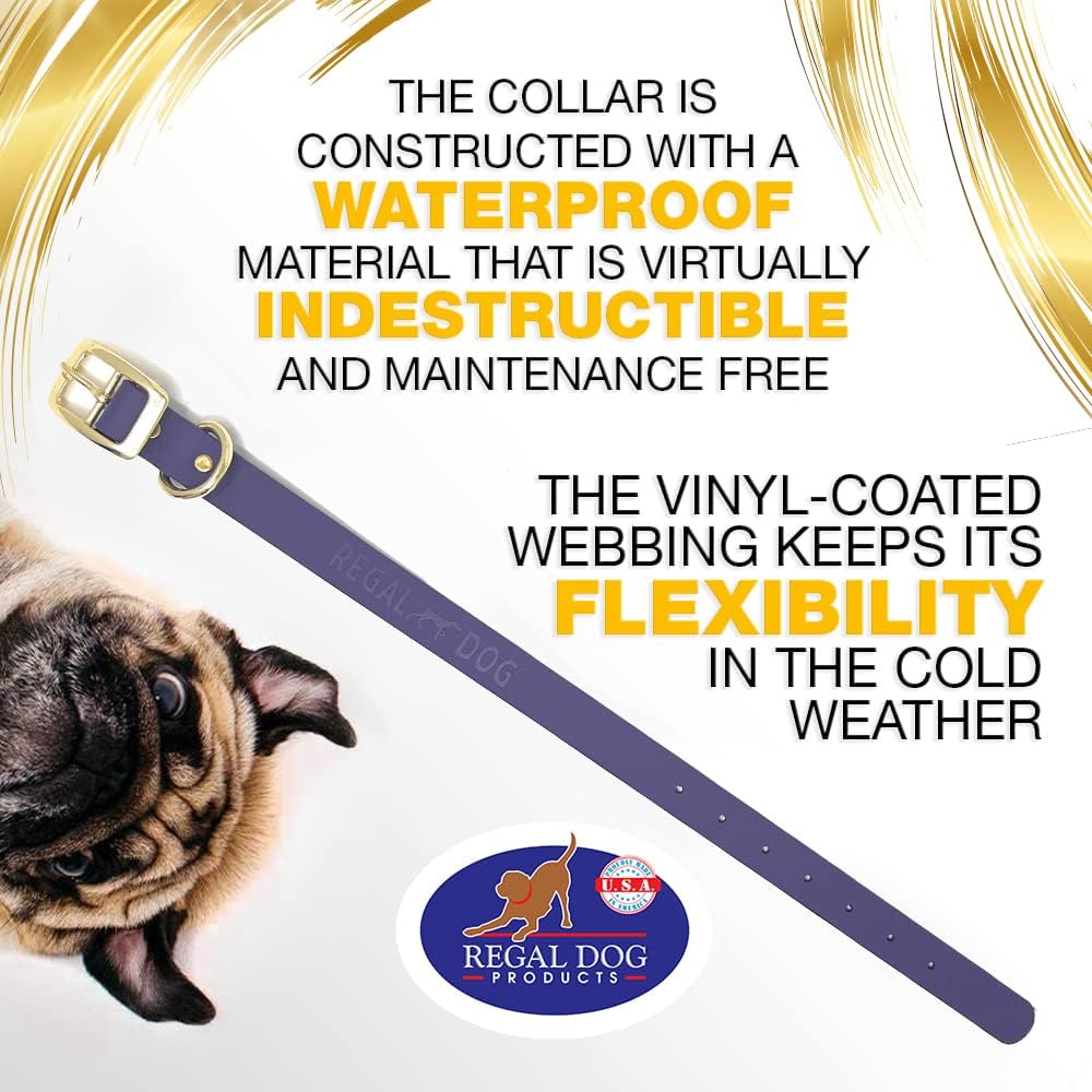 Regal Dog Products Medium Black Waterproof Dog Collar with Gold Buckle, Resilient and Durable Materials, Comfortable Design - for Small, Medium, and Large Breed Dogs