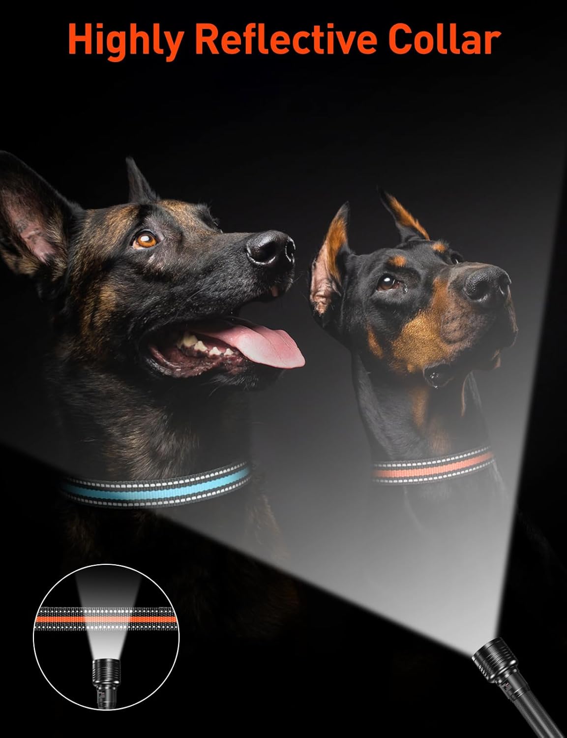 DOGLinsen 2-in-1 Bark and Shock Collar for Dogs, Smart Anti Barking Dog Training Collar with 5 Adjustable Sensitivity, Automatic Bark Collar with Remote, Vibration, Beep, Shock and Automatic