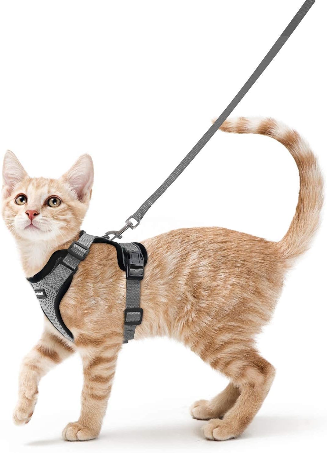 rabbitgoo Cat Harness and Leash for Walking, Escape Proof Soft Adjustable Vest Harnesses for Small Medium Cats, Easy Control Breathable Reflective Strips Jacket, XS, Black
