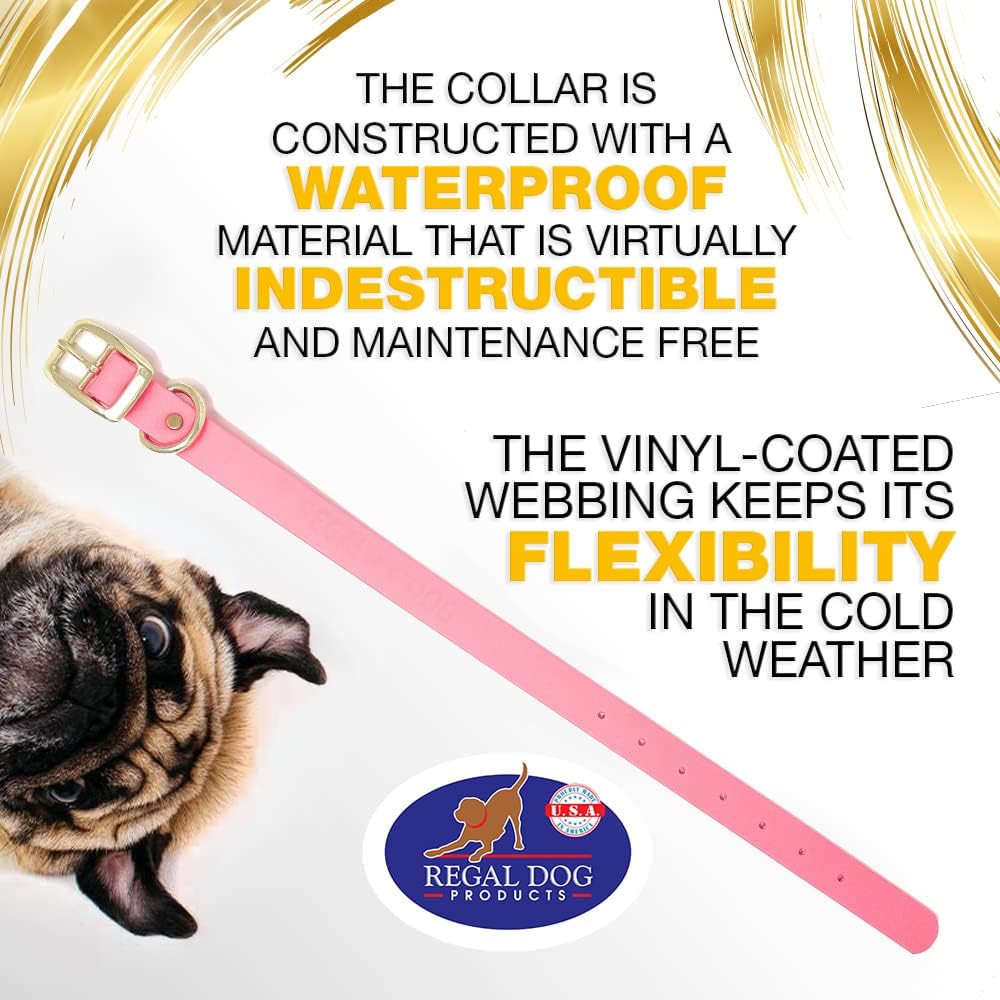 Regal Dog Products Medium Black Waterproof Dog Collar with Gold Buckle, Resilient and Durable Materials, Comfortable Design - for Small, Medium, and Large Breed Dogs