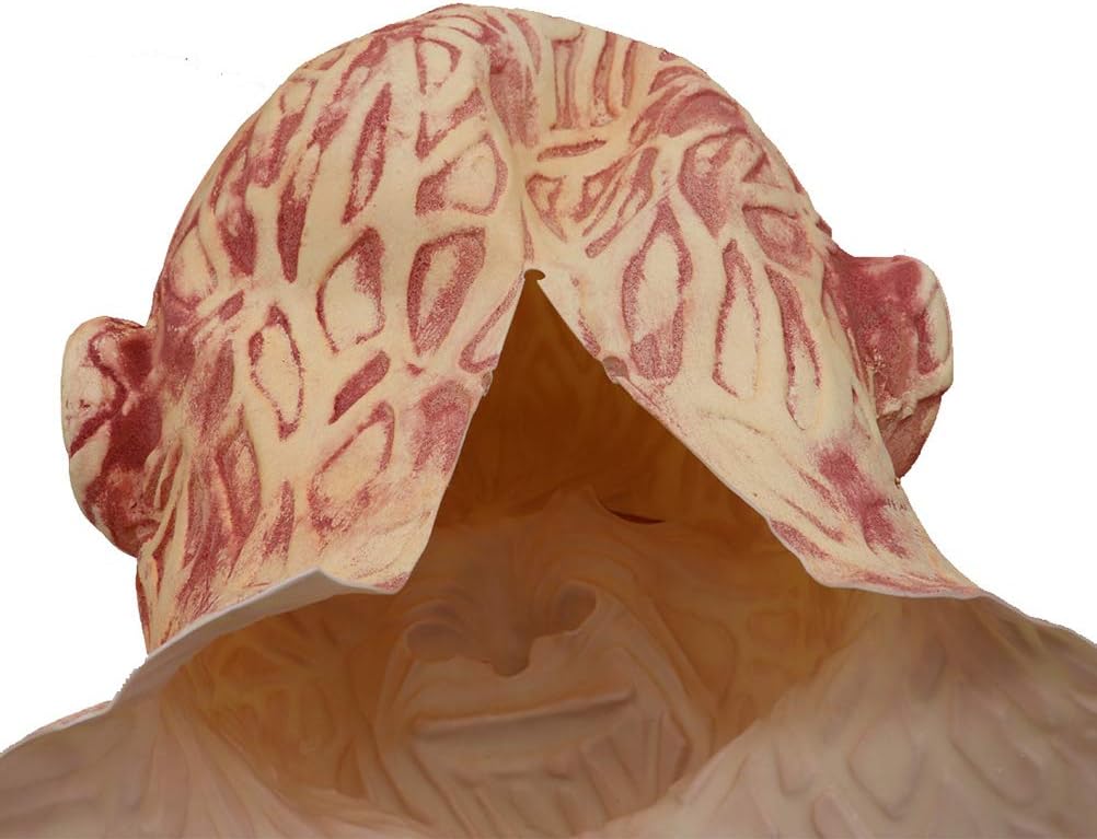 Frightening Freddy Mask for Adult, Texture, Halloween Party Costume, Safe and Environmentally Friendly (As Shown)