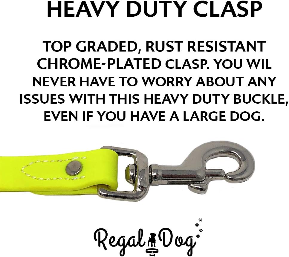 Regal Dog Products Small Orange Waterproof Dog Collar and Leash Set - Vinyl Coated, Biothane Puppy Pet Training Collar with Heavy Duty Center Ring & 5'ft Leash - Other Sizes for Medium & Large Dogs