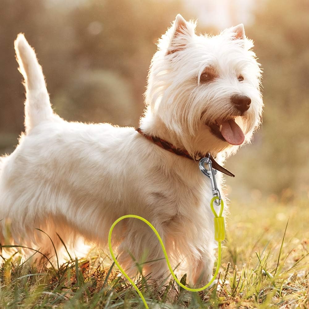 BV Pet Small Tie Out Cable for Dog up to 35 Pound, 25-Feet